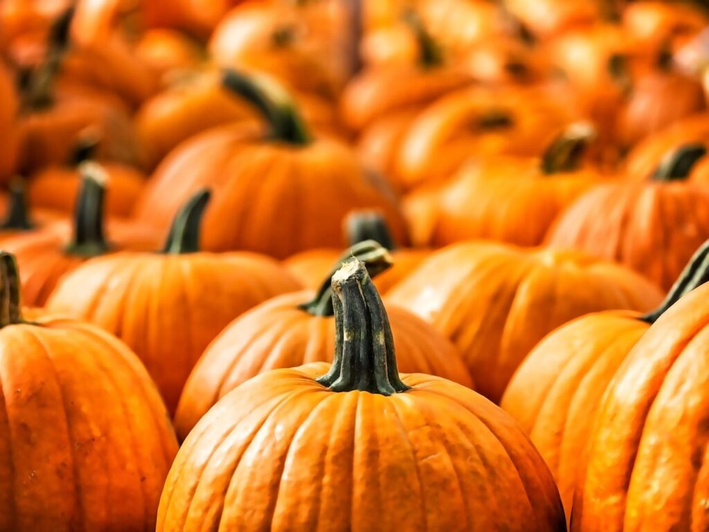 Ķirbis – sirds priekam un veselībai